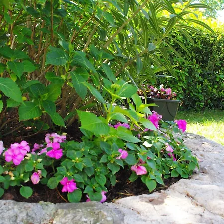 Appartamento Atrium *