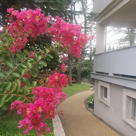 Apartment Atrium *