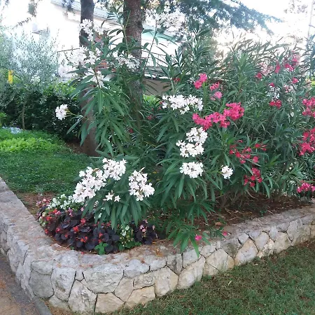 Atrium * マリンスカ