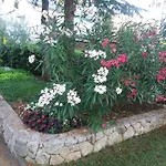 Atrium * مالينسكا